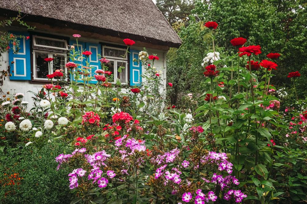 Siedlisko olenderskie na Mazowszu - Housity