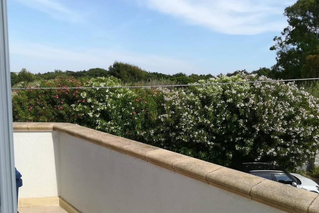 ottima location lido tabù - Housity