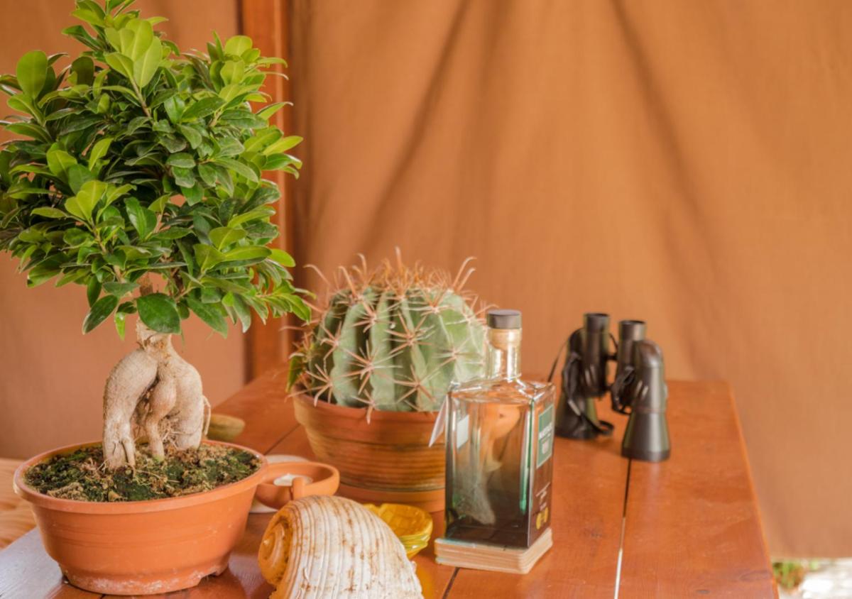 SANTA CRUZ country cottage - Housity