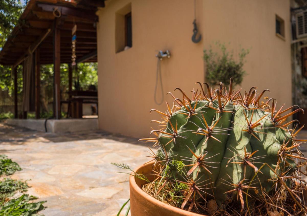 SANTA CRUZ country cottage - Housity