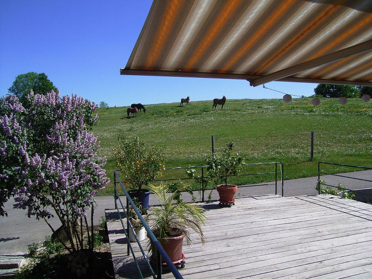 Naturfreundepension Hagenberger für Erwachsene - Housity