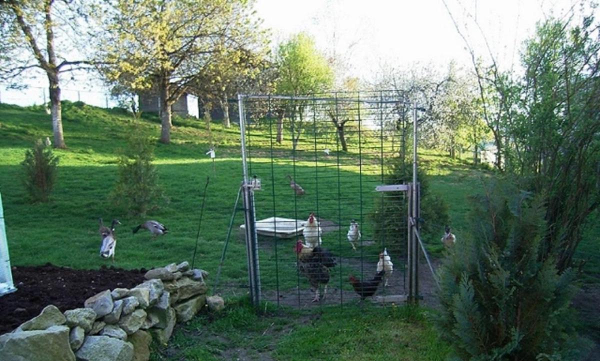 Naturfreundepension Hagenberger für Erwachsene - Housity