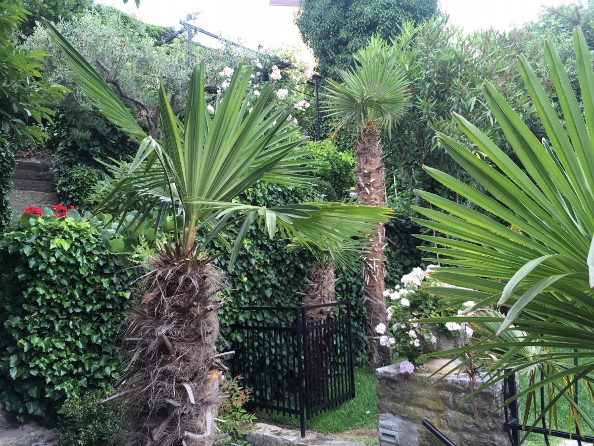 Green Oasis Family Apartments - Housity