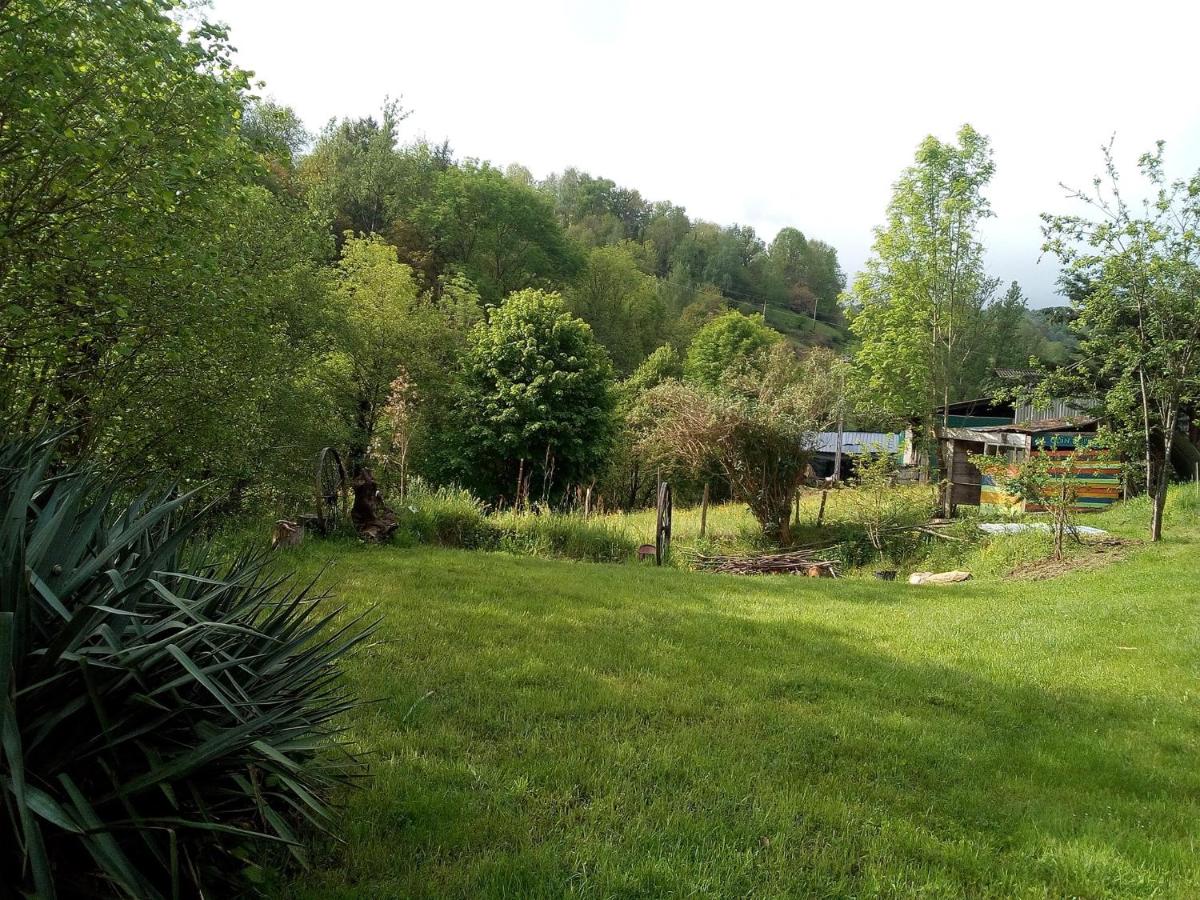 la maison du bonheur chez Yann HUMBLET - Housity