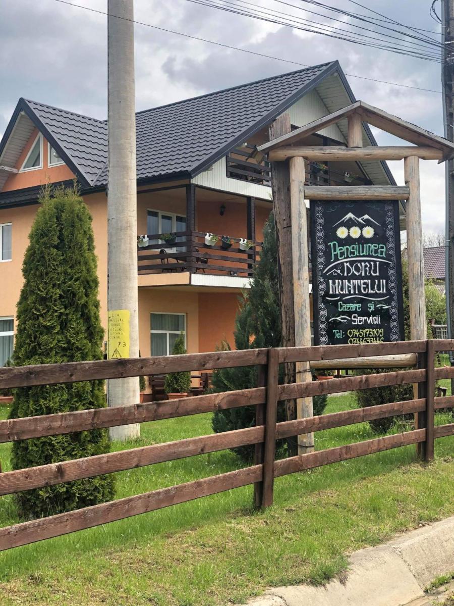 “Doru’ Muntelui” - Housity