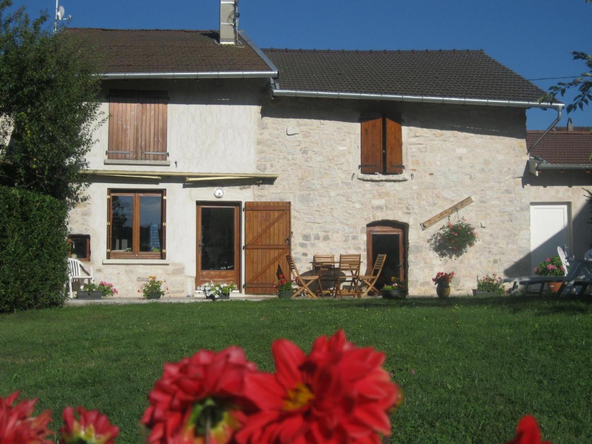 Murmure des buis - Housity