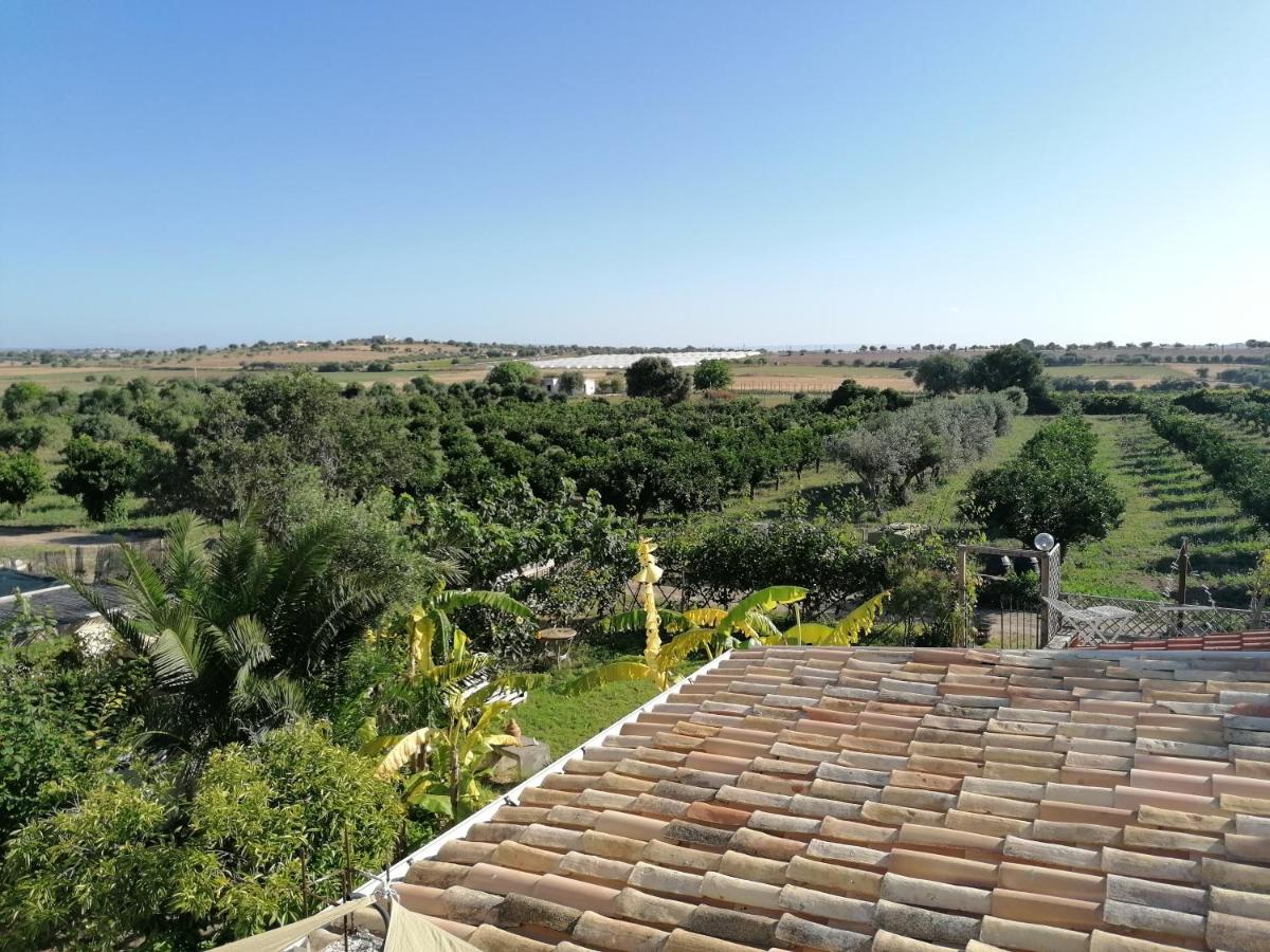 La pomelia - Housity