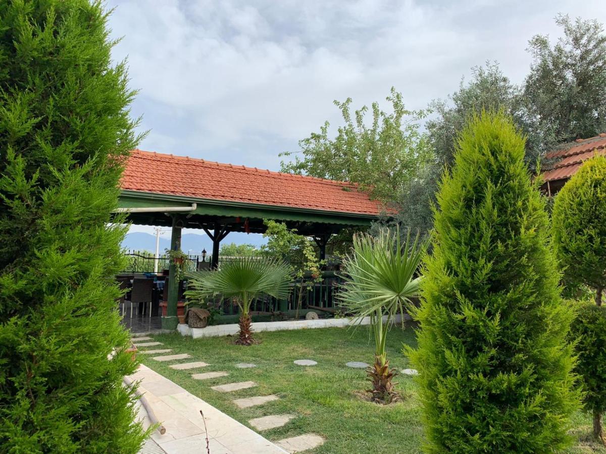 Pınar Vintage House - Housity