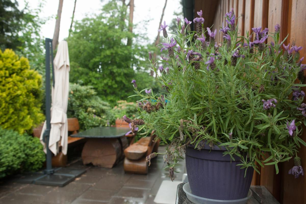 Heidehaus Lippl am Steinhuder Meer - Housity