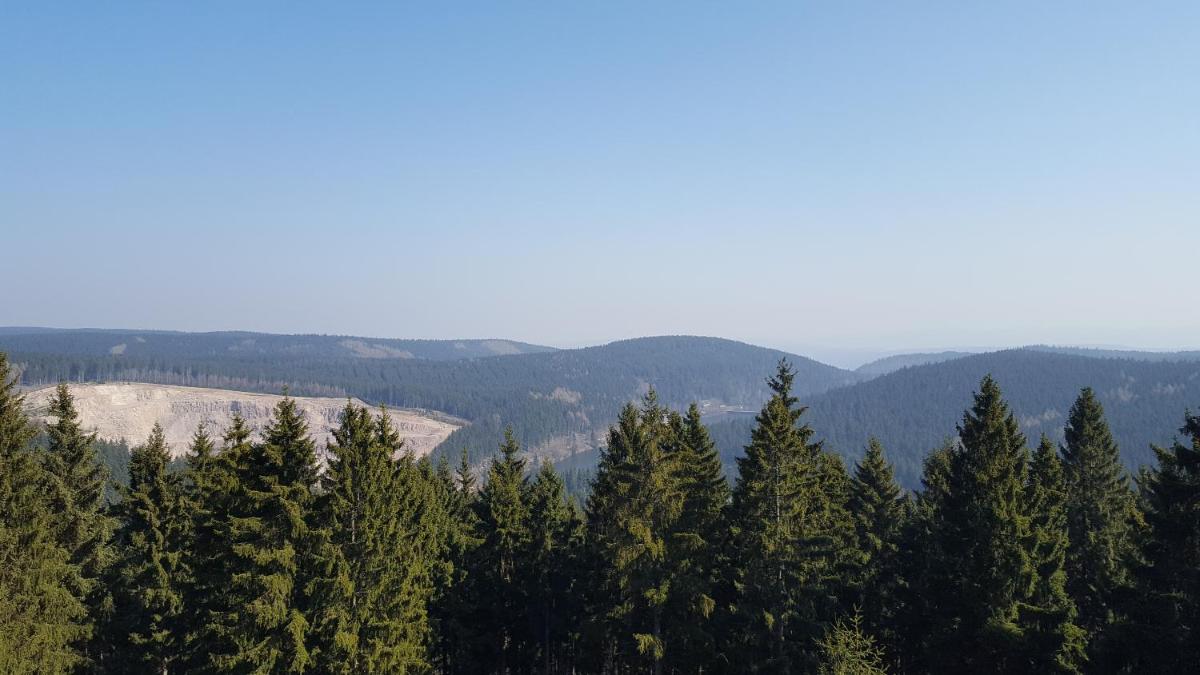 Ferienwohnung Grunwald - Housity