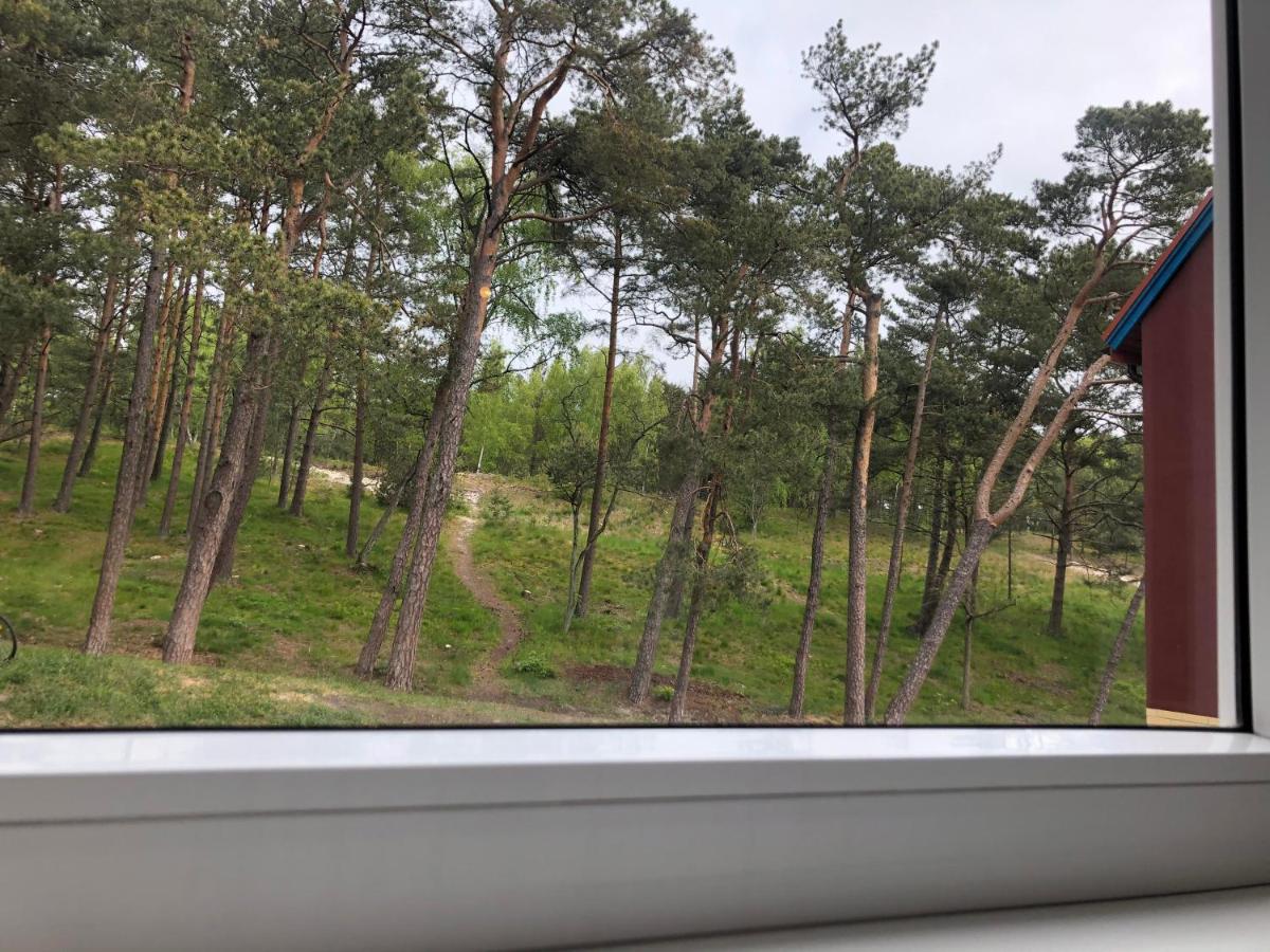 Forest View - Housity