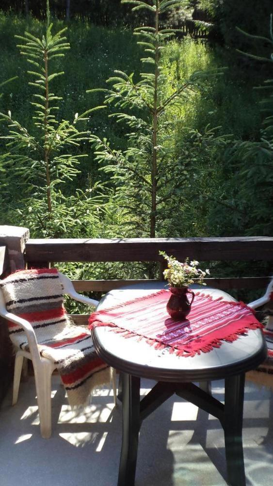 Villa Doina - Housity