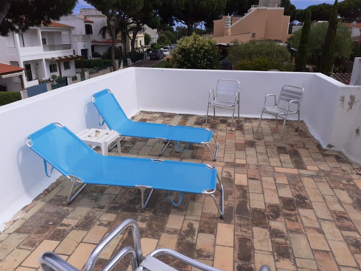 Eucalipto - Housity