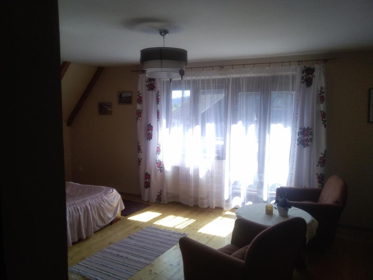 Oleksandra Protsenko "Oleńka" Willa Asieńka - Housity