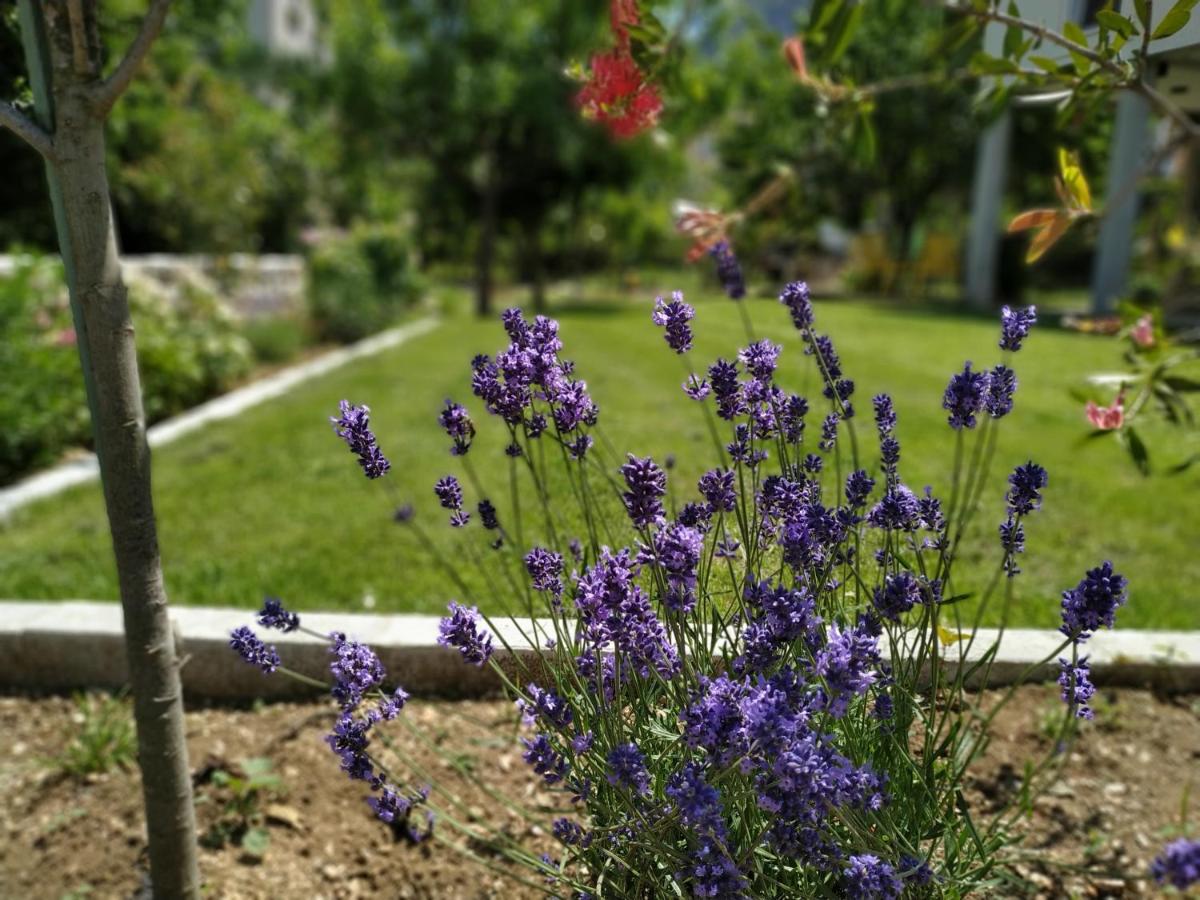 Apartments Grgurević - Housity