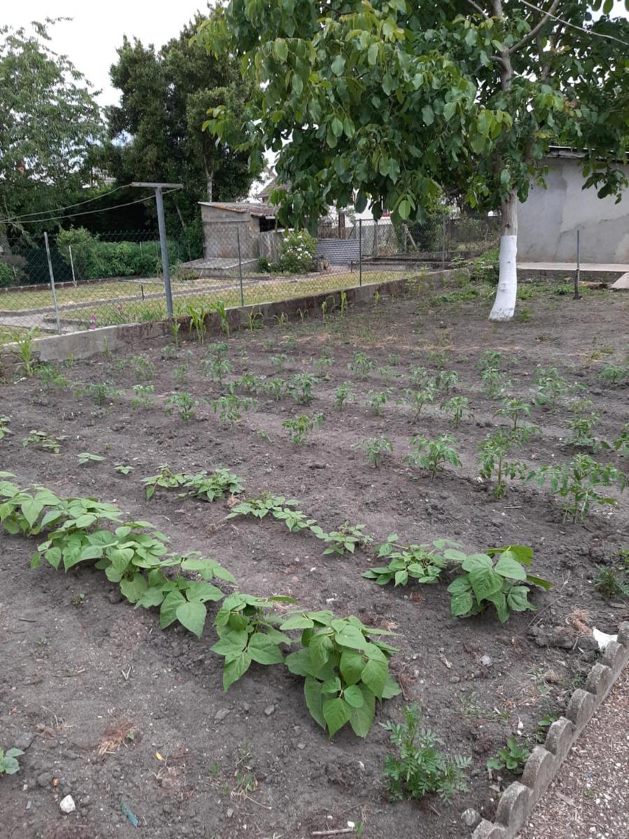La petite escale - Housity