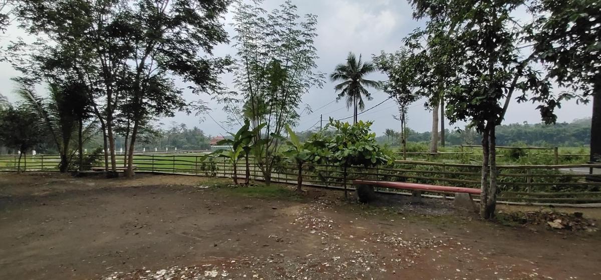 Homestay Griya Merpil - Housity
