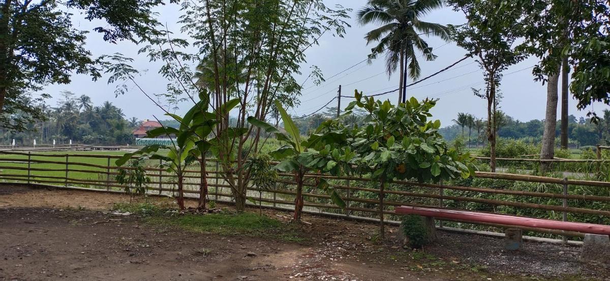 Suitetrails - Homestay Griya Merpil