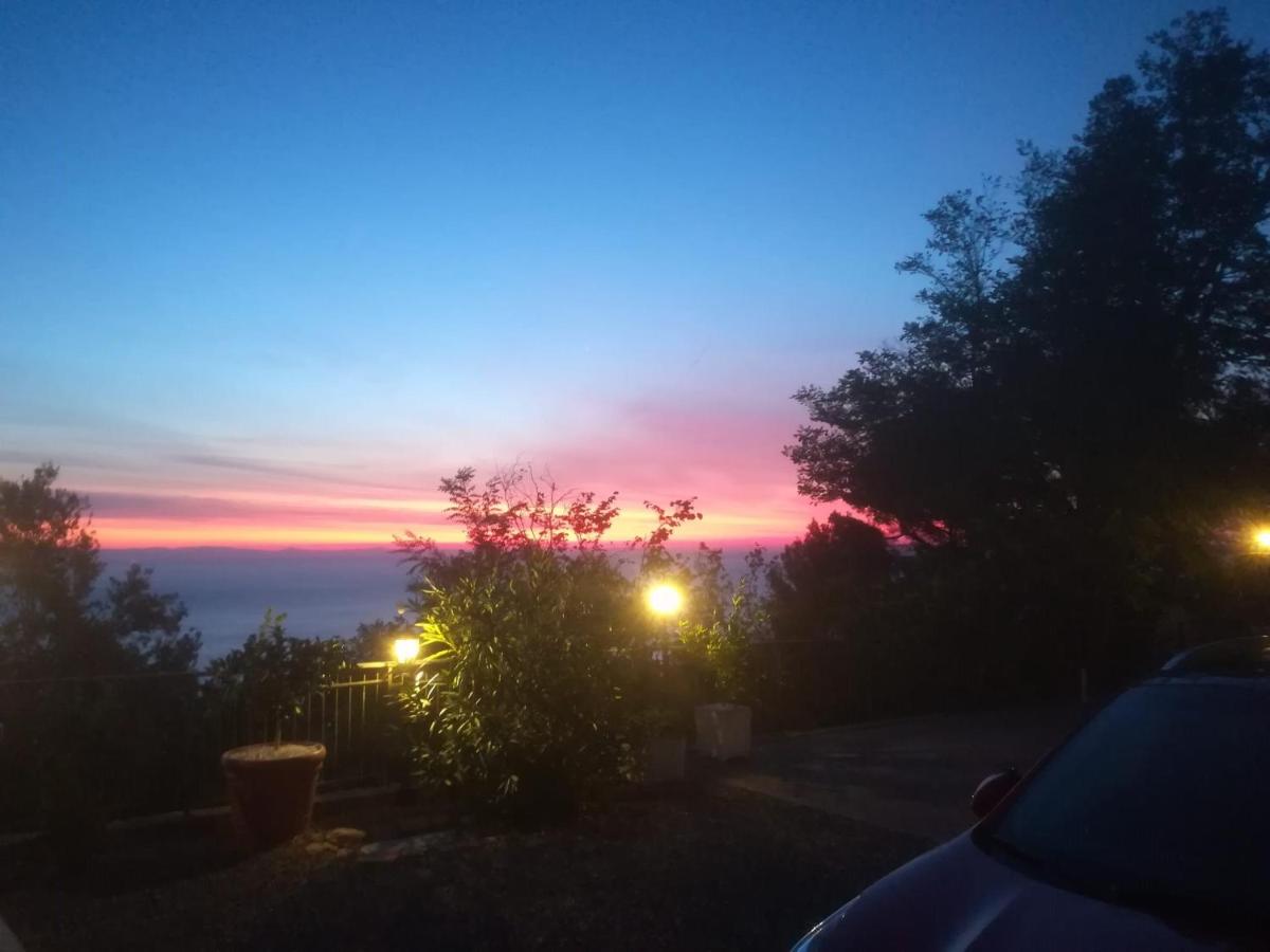 IL NIDO RIFATTO - Housity