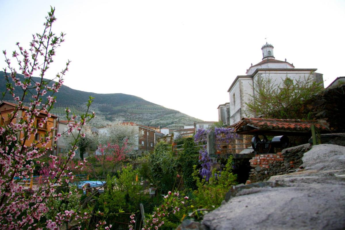 un jardín con flores y un edificio de fondo en La Posada del Casar, en Casar de Palomero