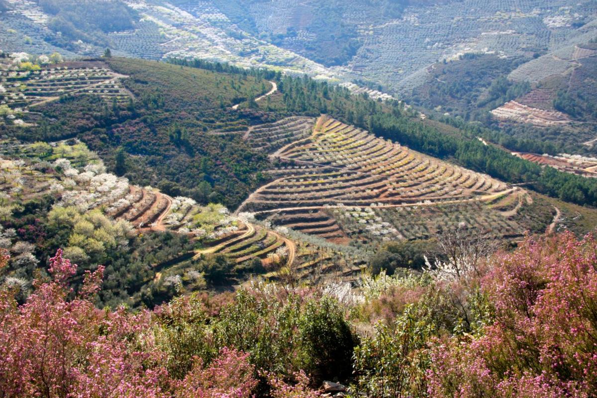 Paisaje cerca de este hotel