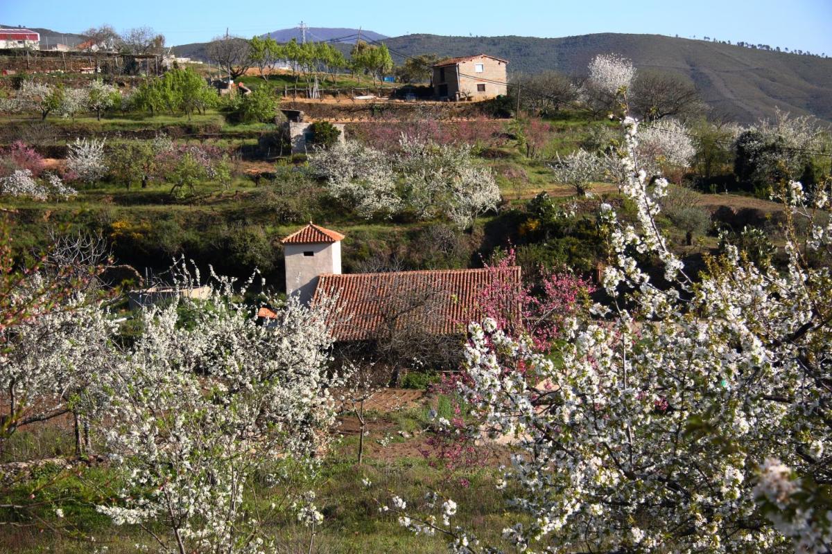 Paisaje cerca de este hotel