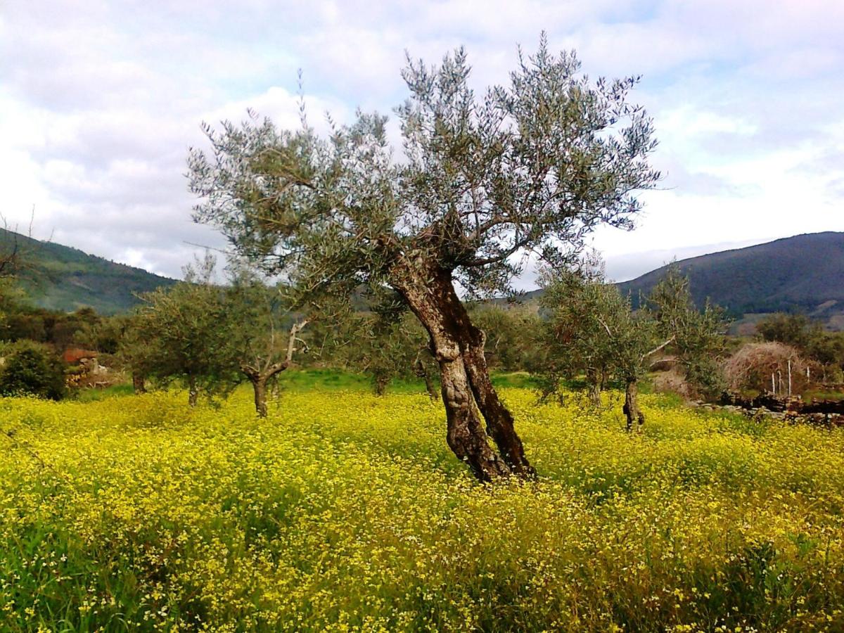 Paisaje cerca de este hotel