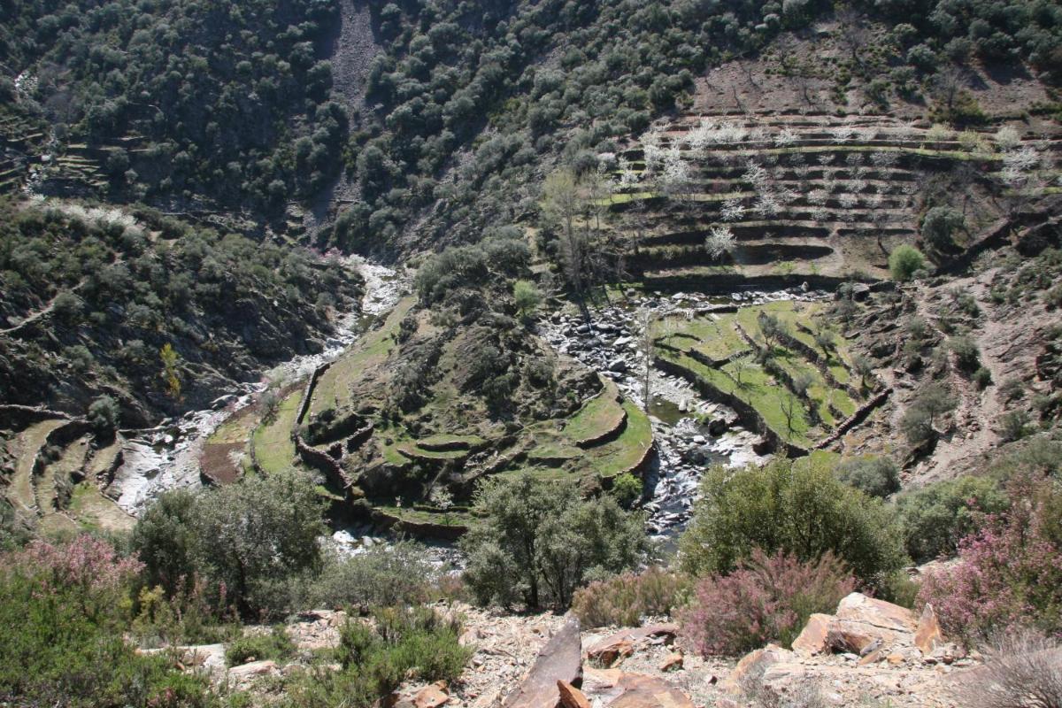 Paisaje cerca de este hotel