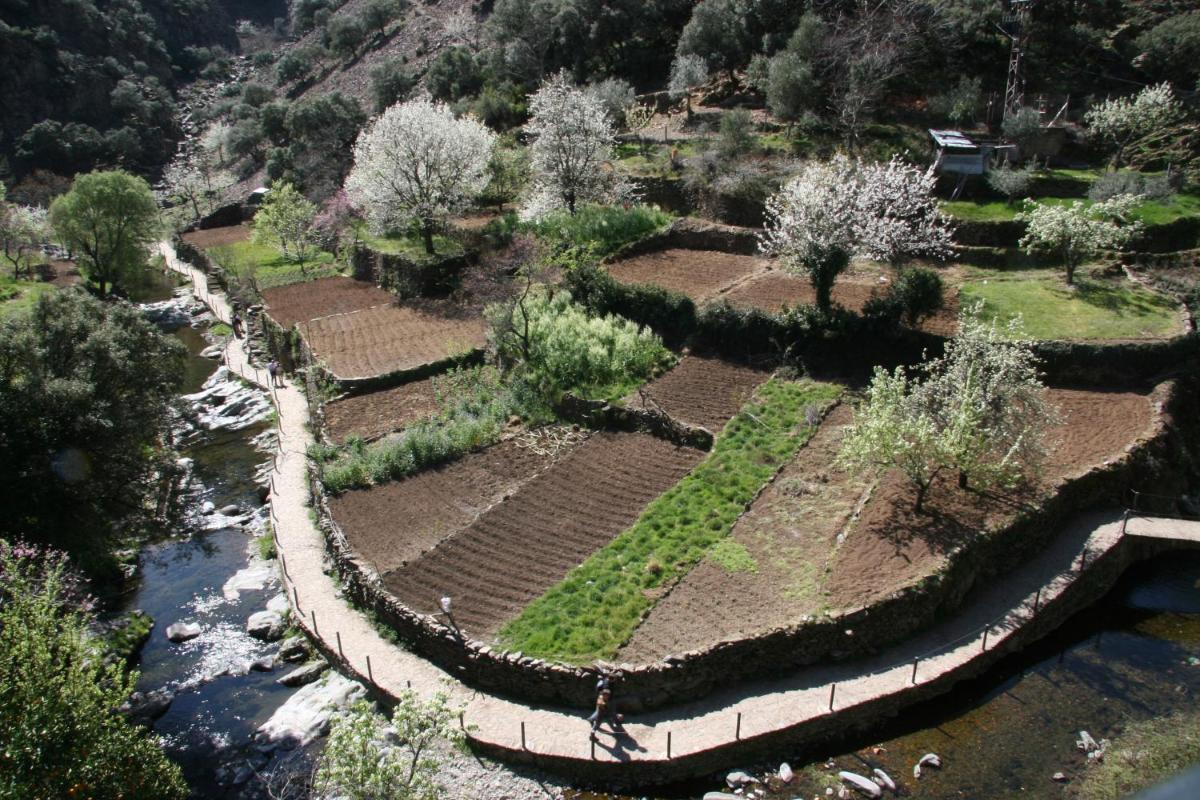 Paisaje cerca de este hotel