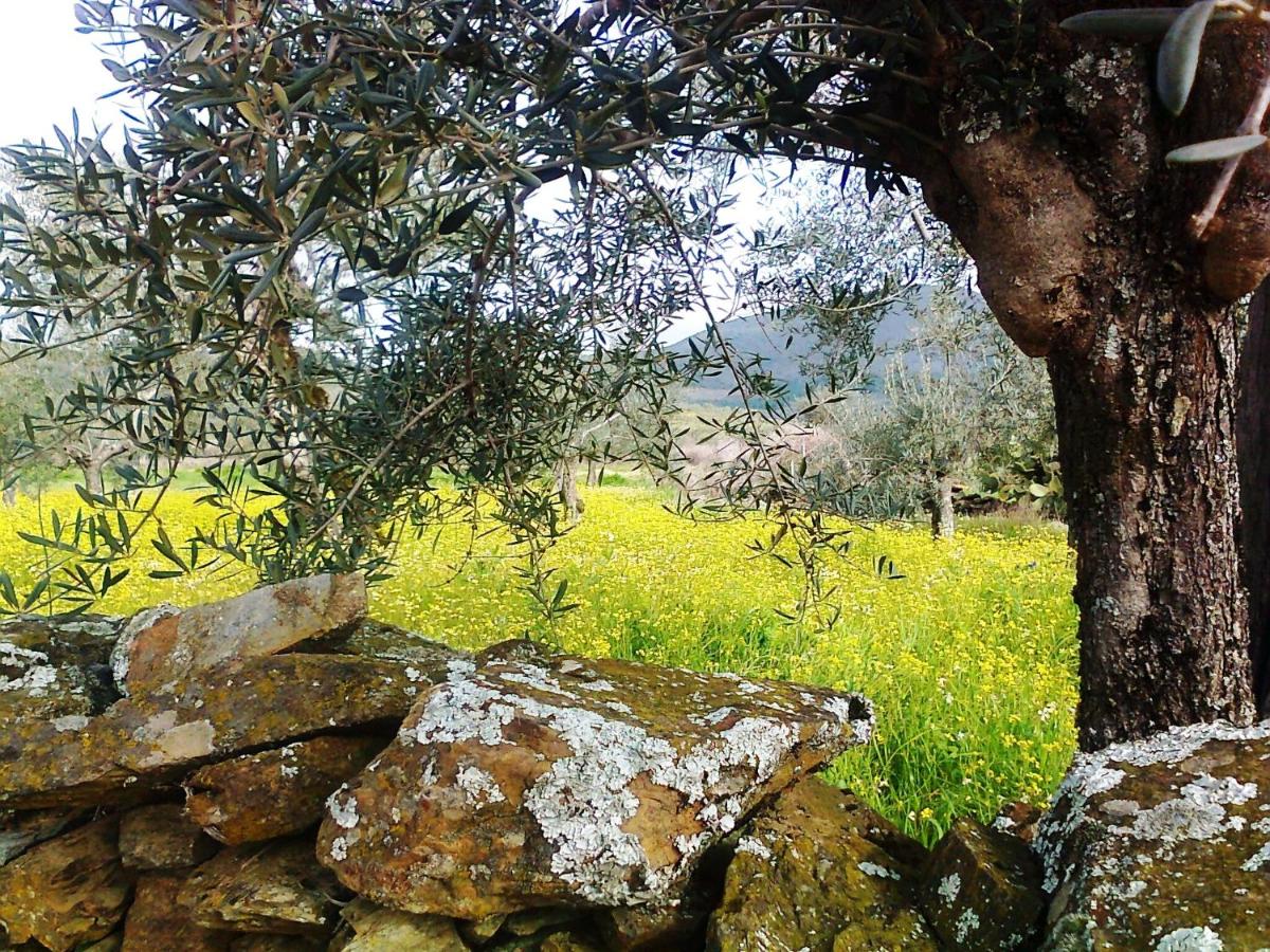 Paisaje cerca de este hotel