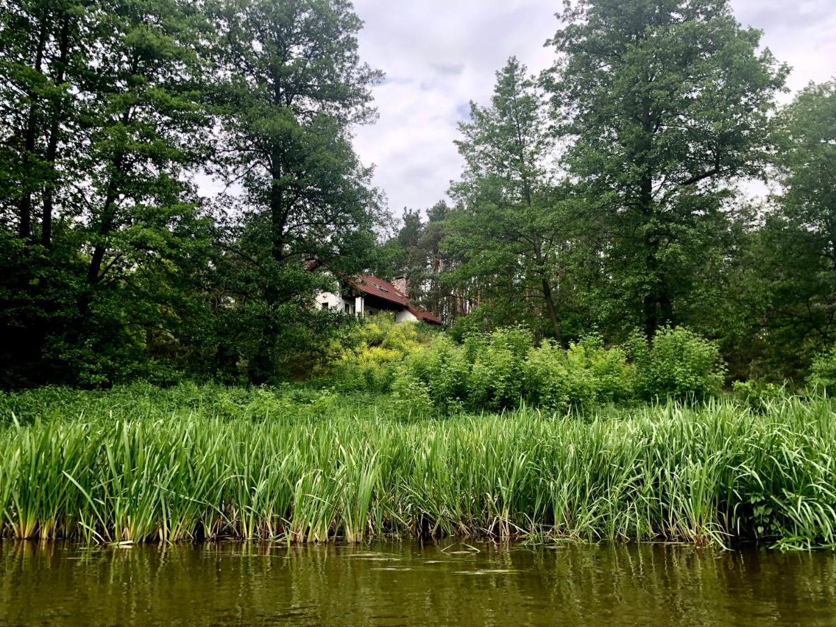 Villa & Jacuzzi nad rzeka Wkra - Housity