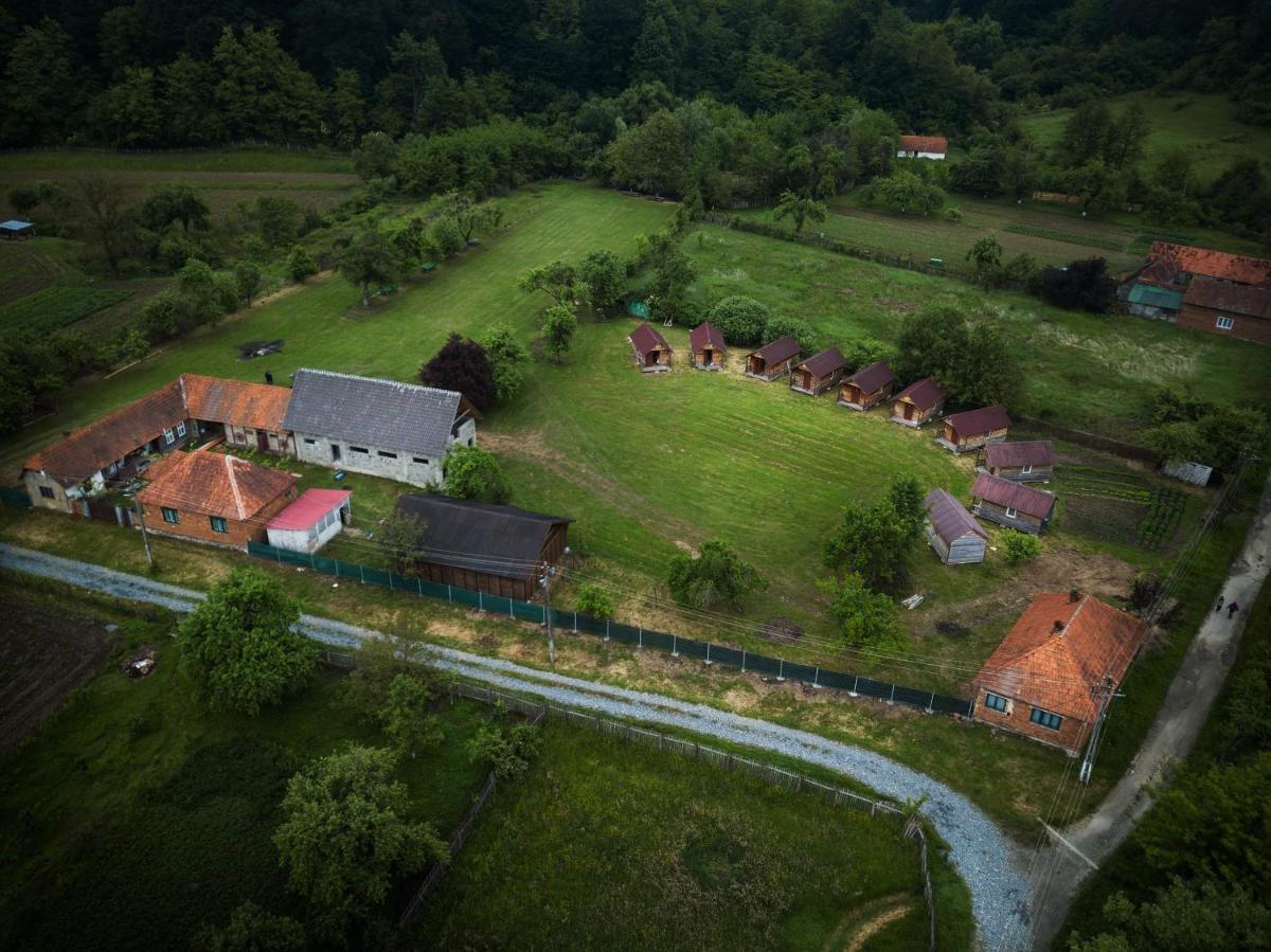 Casutele din Grosi - Housity