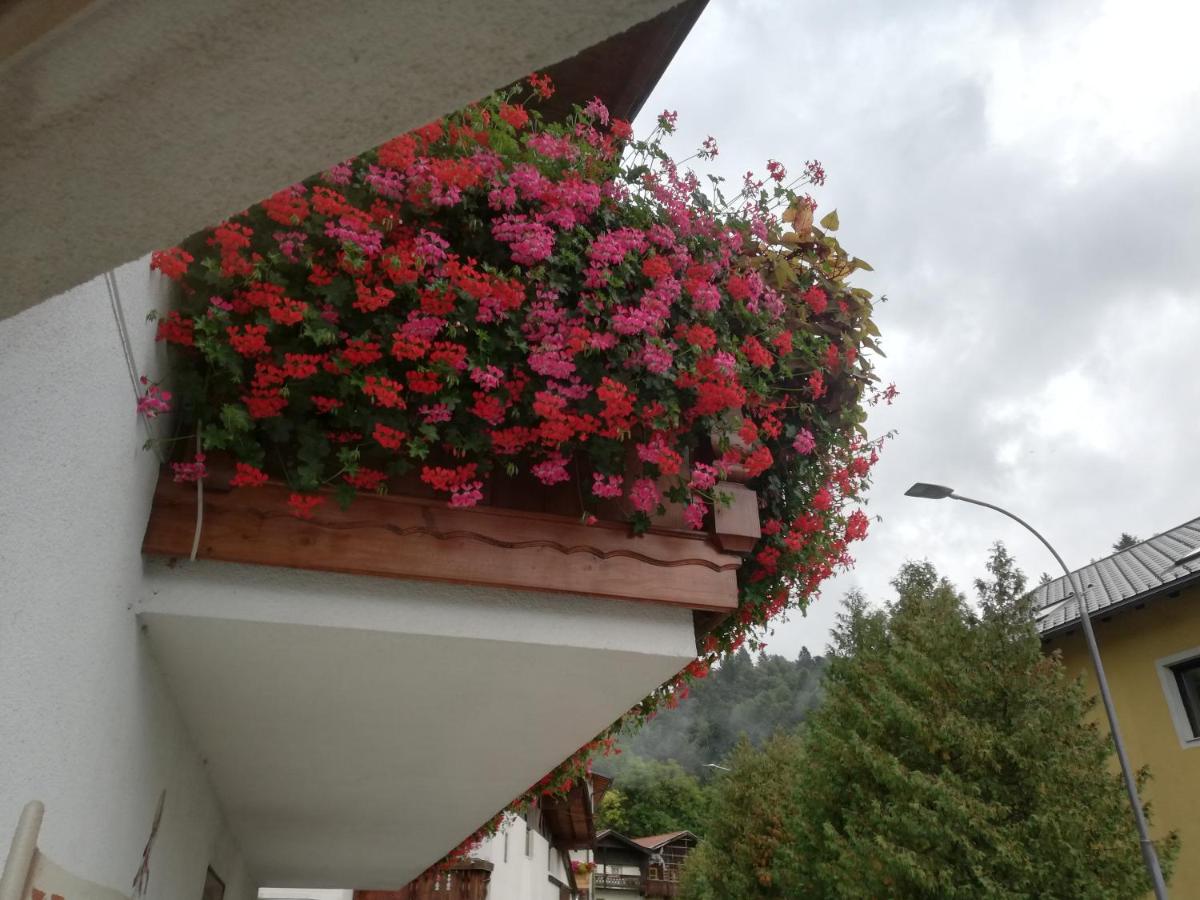 Suitetrails - Haus Georg