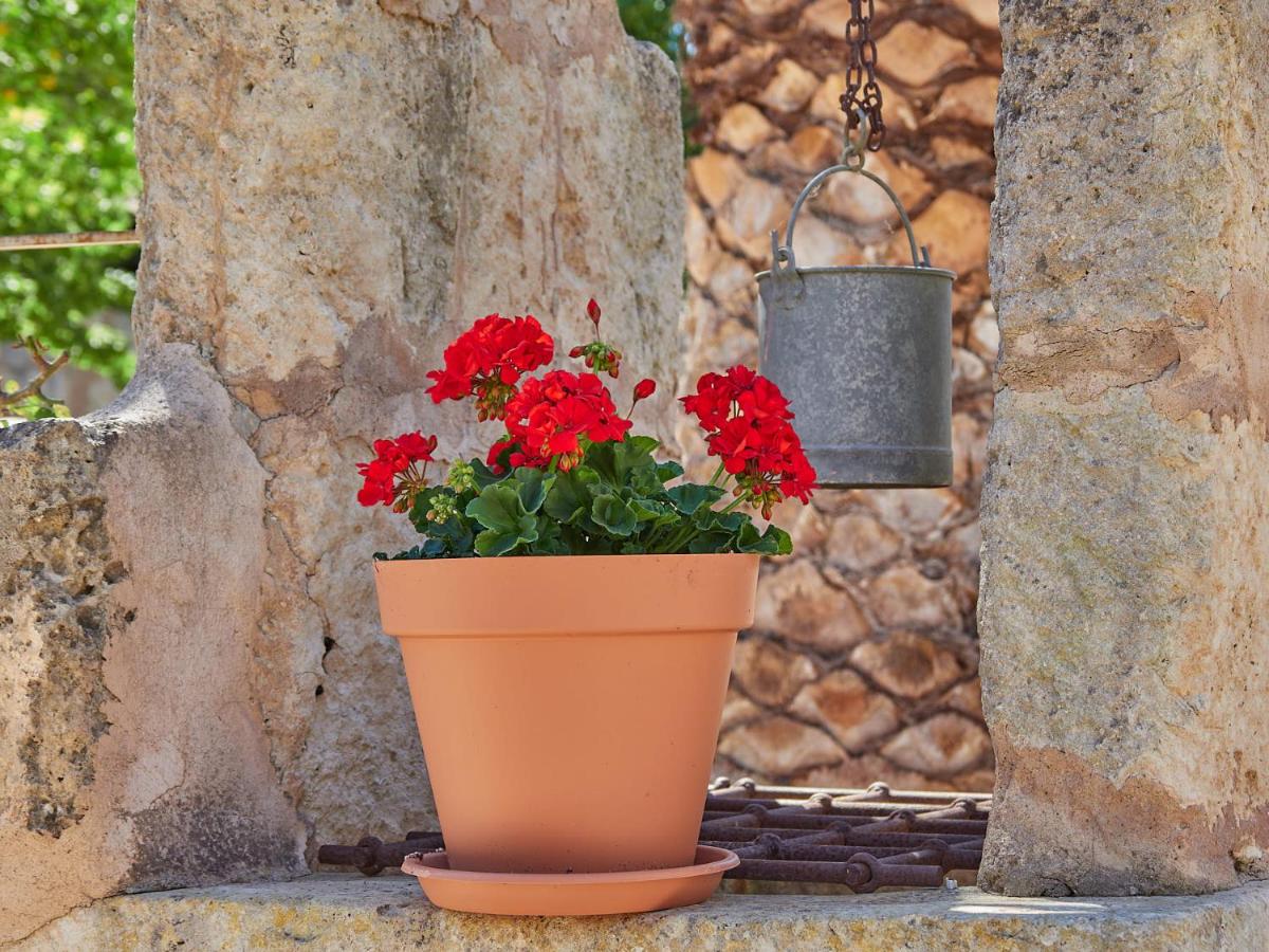 Sa Barcella TI 64 - Housity