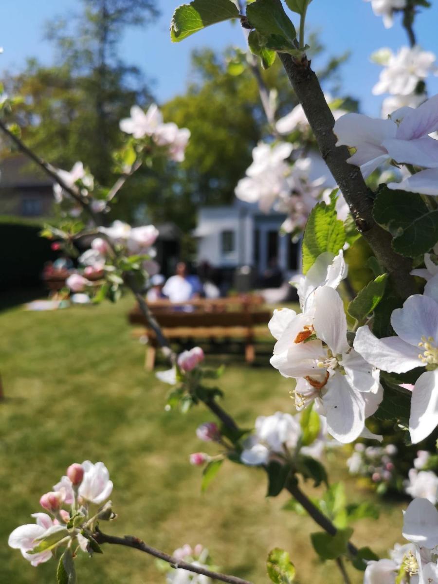 B&B de Koffietuin - Housity