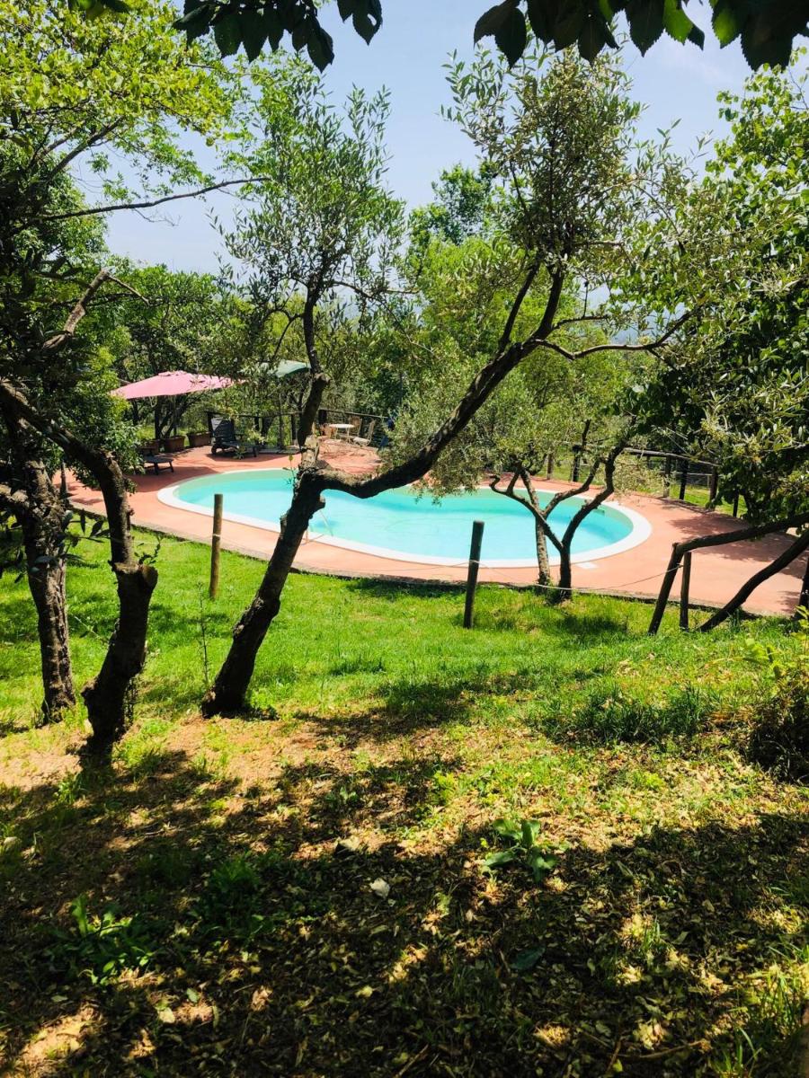 Il giardino dei mandorli Agriturismo - Housity