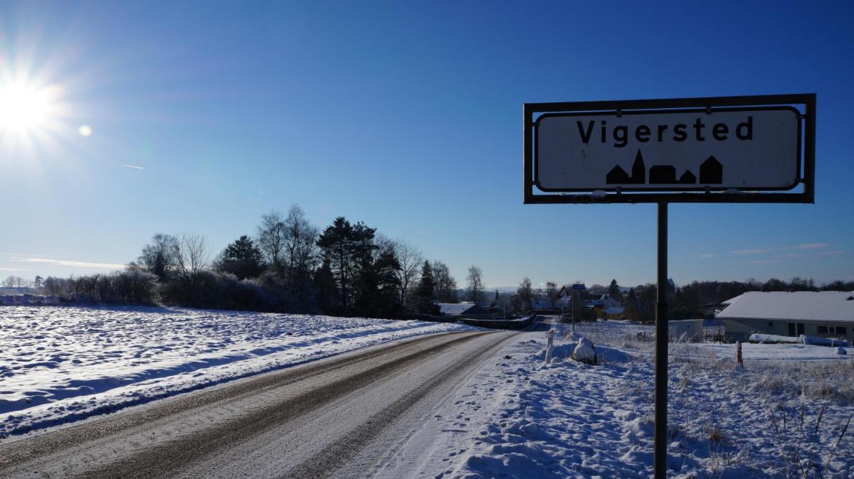 Villa Wolte Bed and Breakfast - Housity