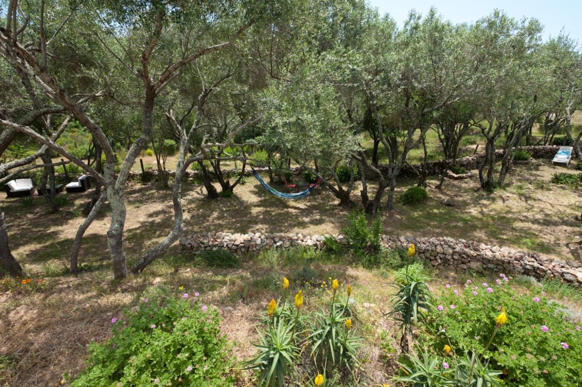 Maison Tavolara - Housity