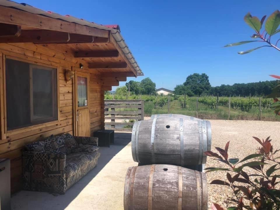 Le sang des vignes - Housity