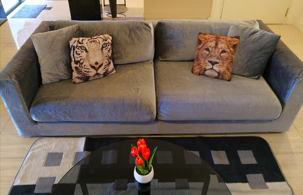 Eve Suite - Housity
