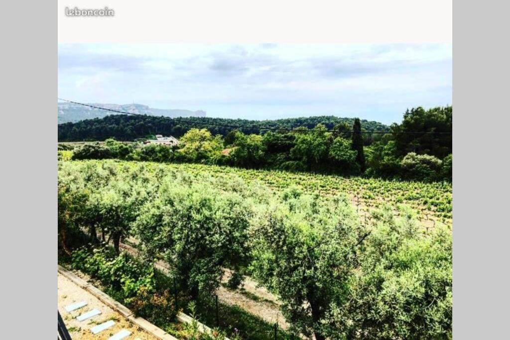 Studio dans les vignes de cassis - Hizvo