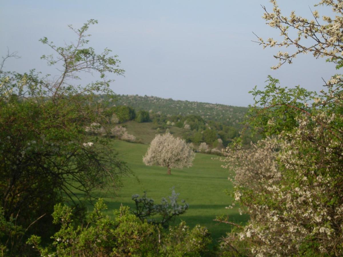 Ubytovanie na včelej farme - Housity