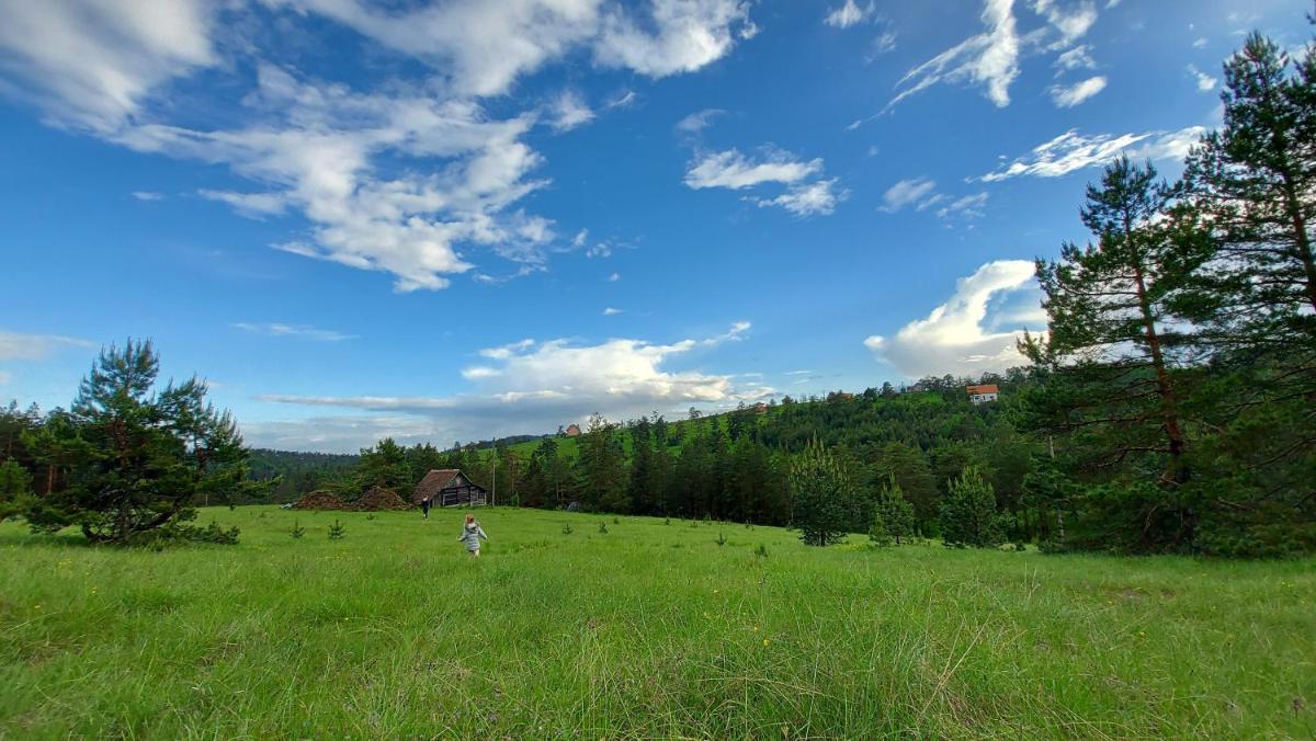Vajat Kovačević - Housity