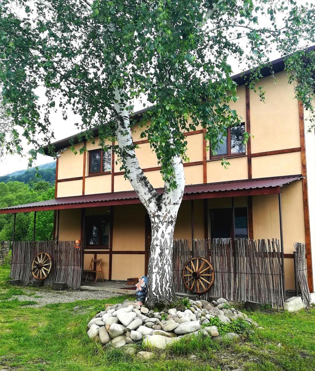 Guest House Pisnya Karpat - Housity