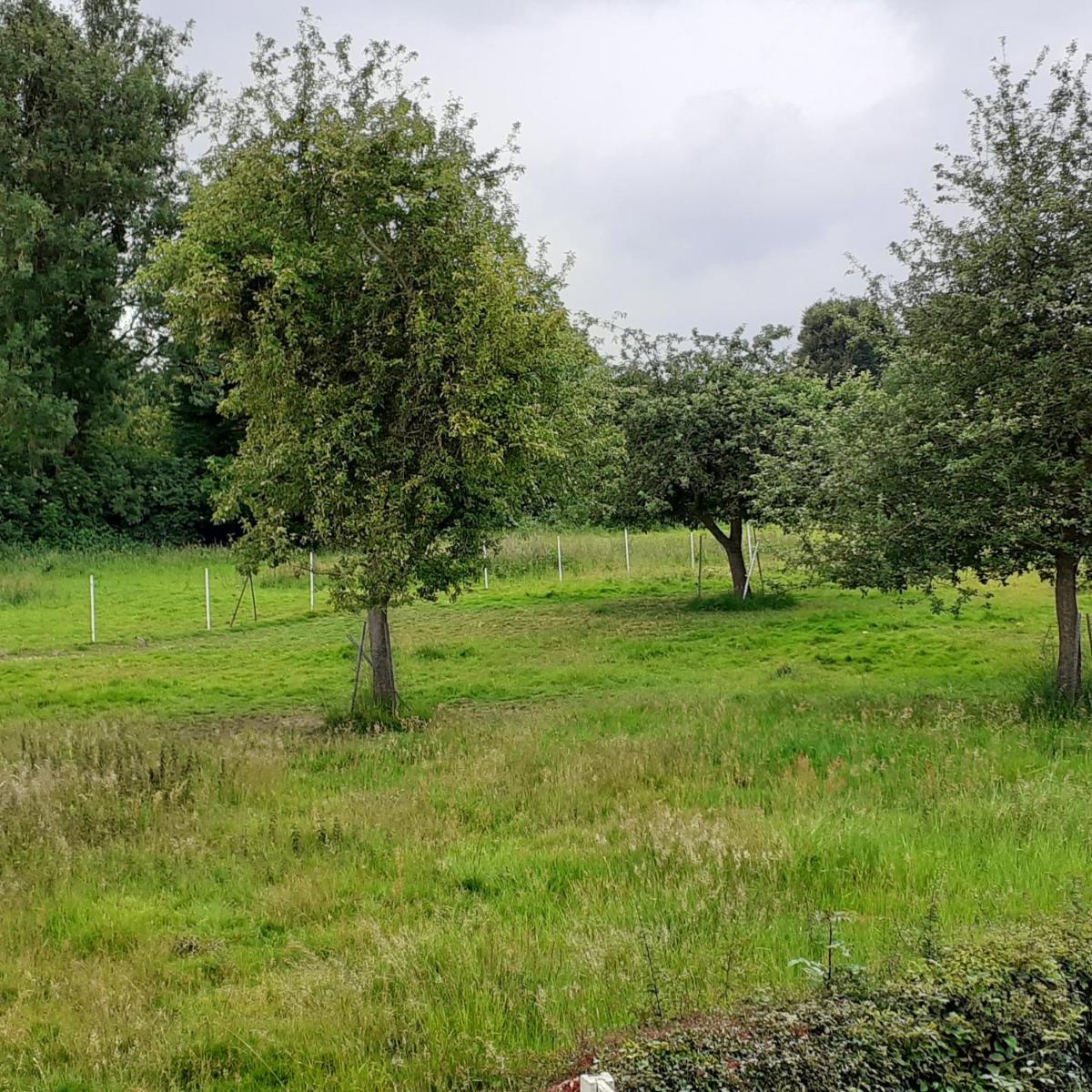 pause à la campagne - Housity