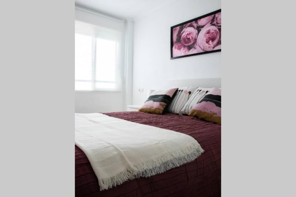 Escápate y disfruta del sol en hermosas playas, apartamento espectacular, Santa Pola, Alicante - Housity