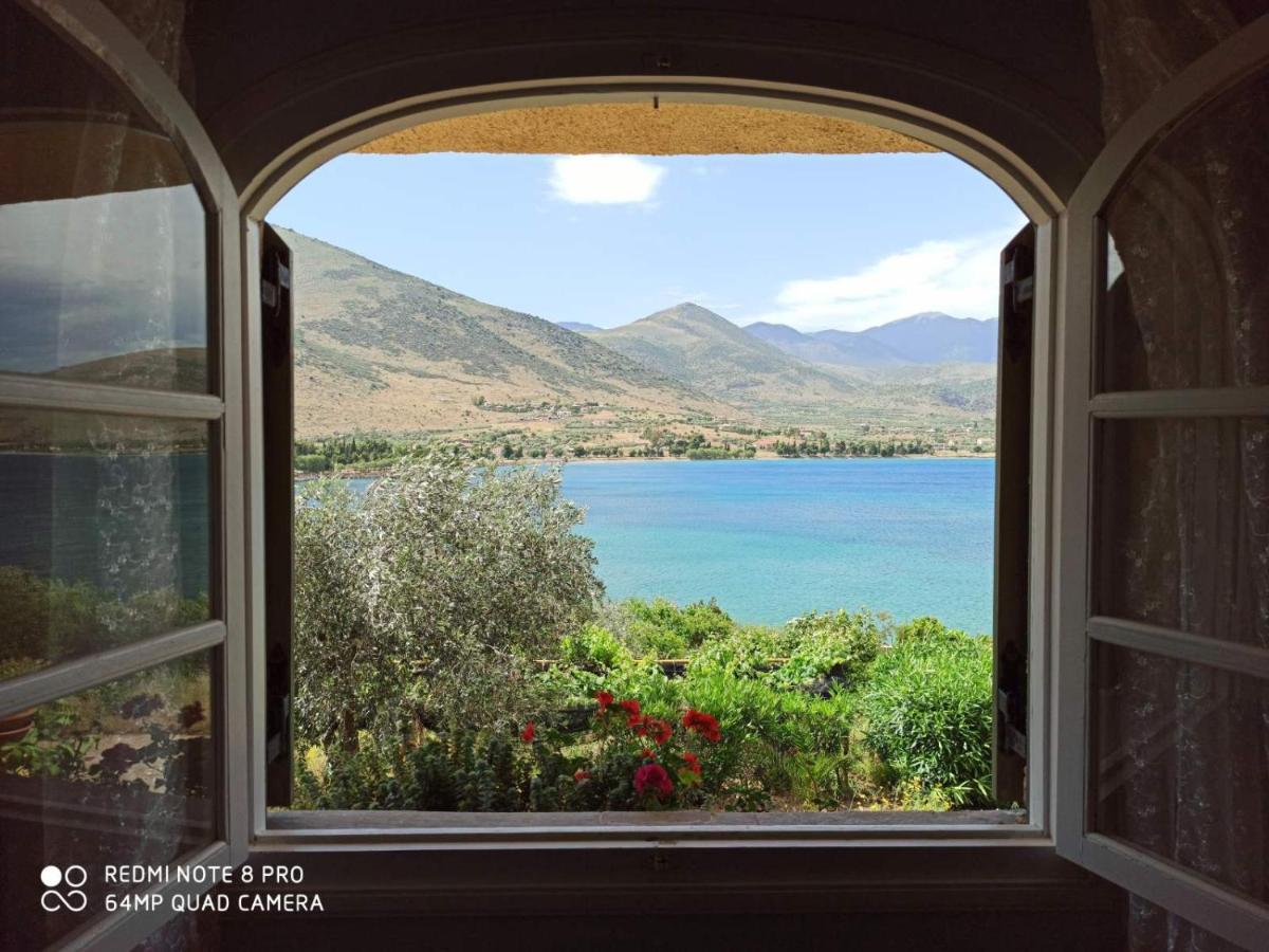 Aphrodite's Coast Retreat House! - Housity