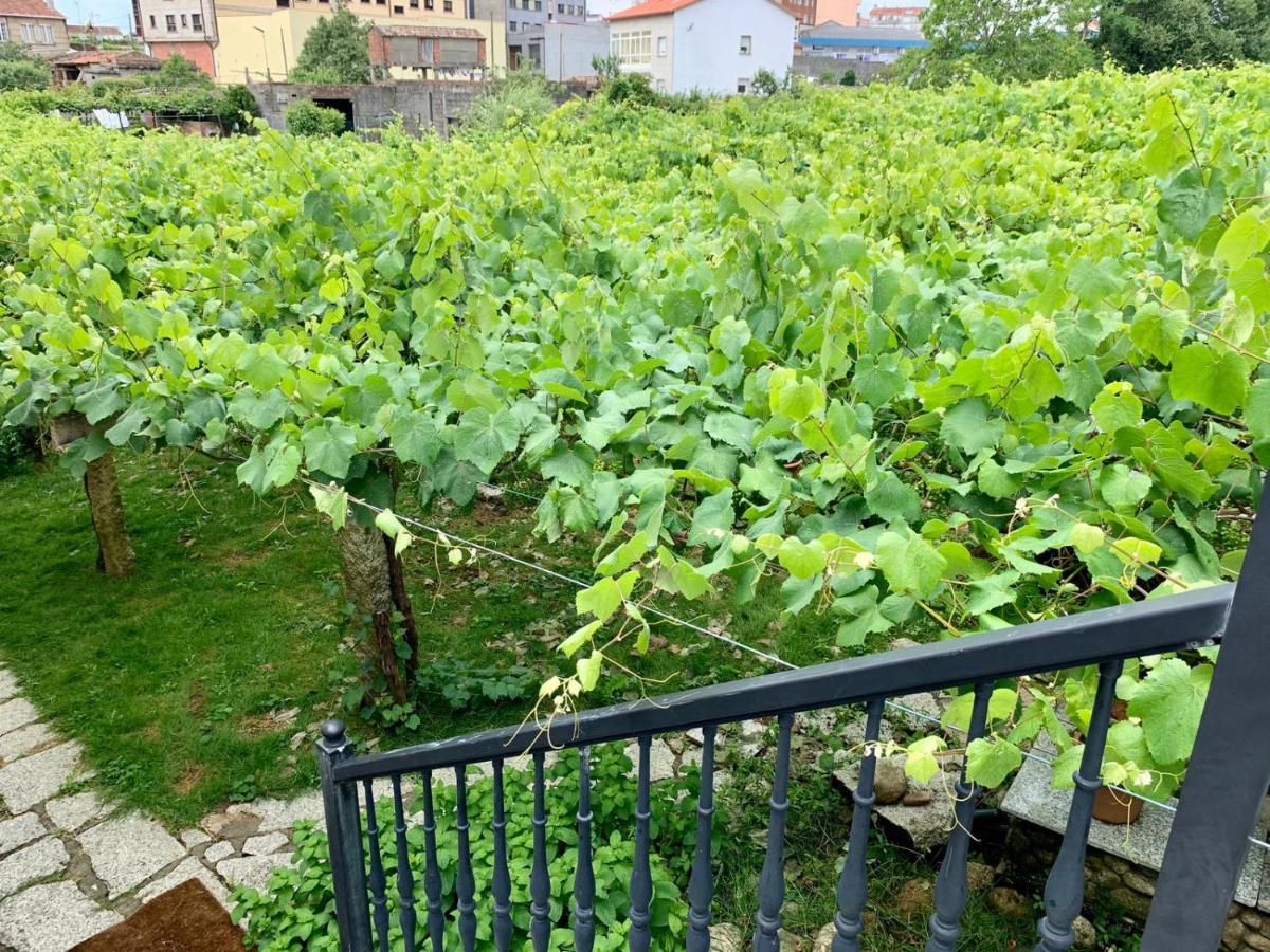 Apartamento Cacheiro - Housity