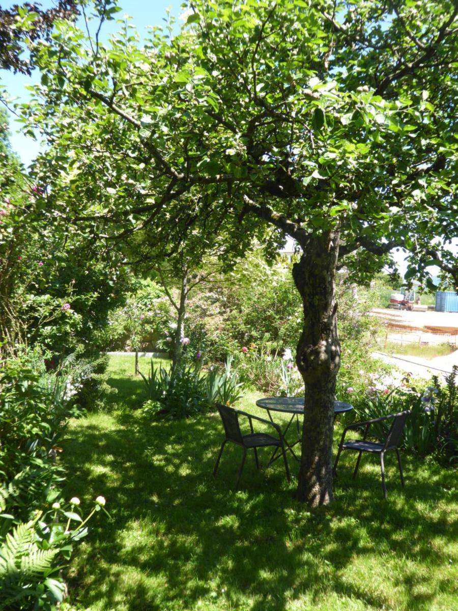 La Pomme de Pin - Housity
