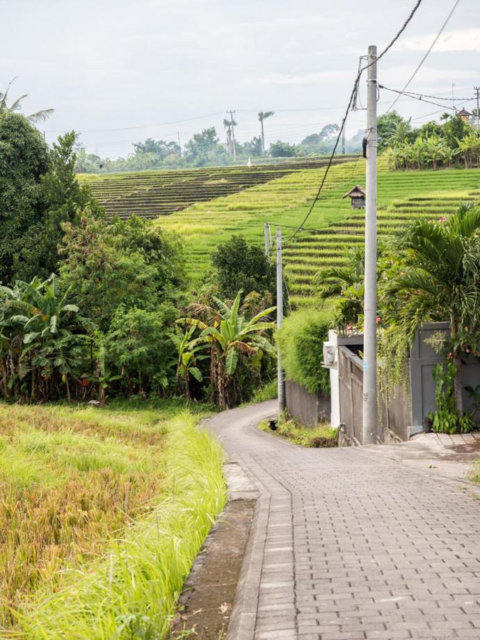 Dua Rumah Canggu Bali - Housity